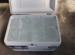 弊社取扱クーラーボックスの保冷能力テスト かき氷機レンタル