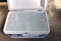 イグルーマリンウルトラの保冷能力テスト開始