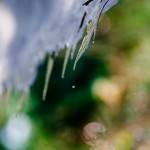 凍りにくい環境で「氷」になる氷は透明